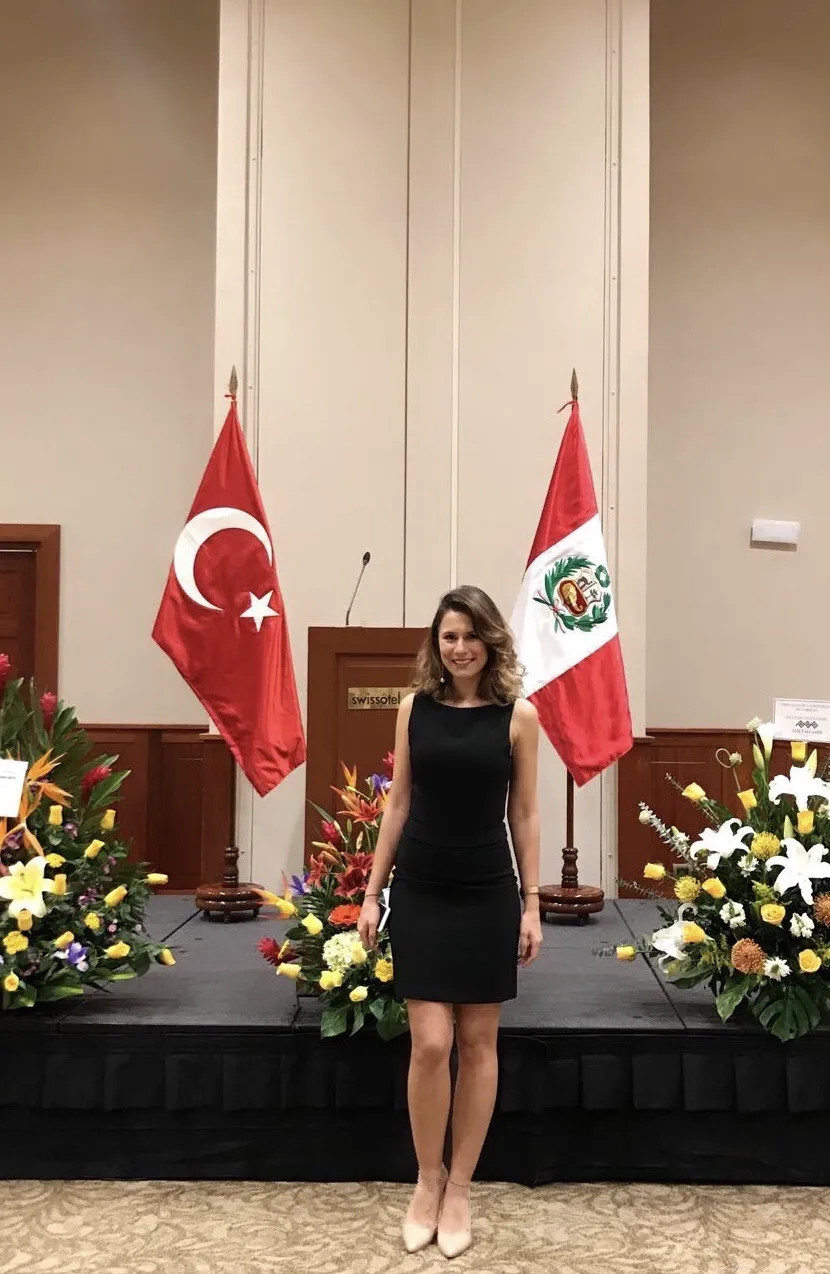 Diplomasi yılları